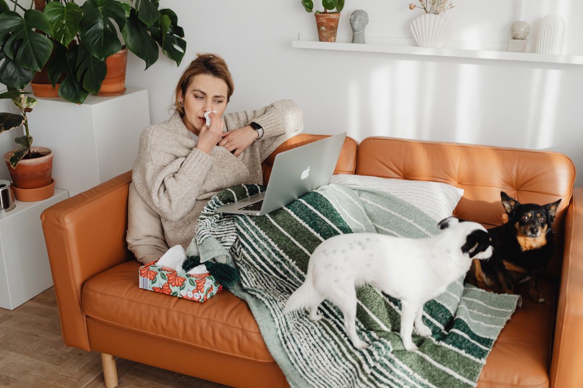 A woman feeling sick on the couch searching on a laptop for a doctor who takes her insurance