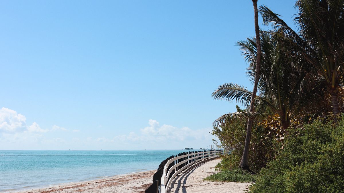 A sunny Florida beach lined with palm trees, the kind of Sun Belt town where snowbird patients spend the winter and shop for a local doctor